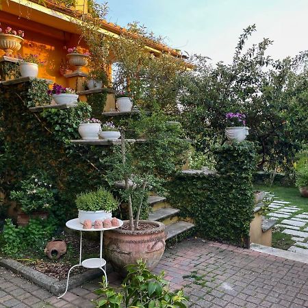 Home Sweet Home Gallicano nel Lazio Exterior photo