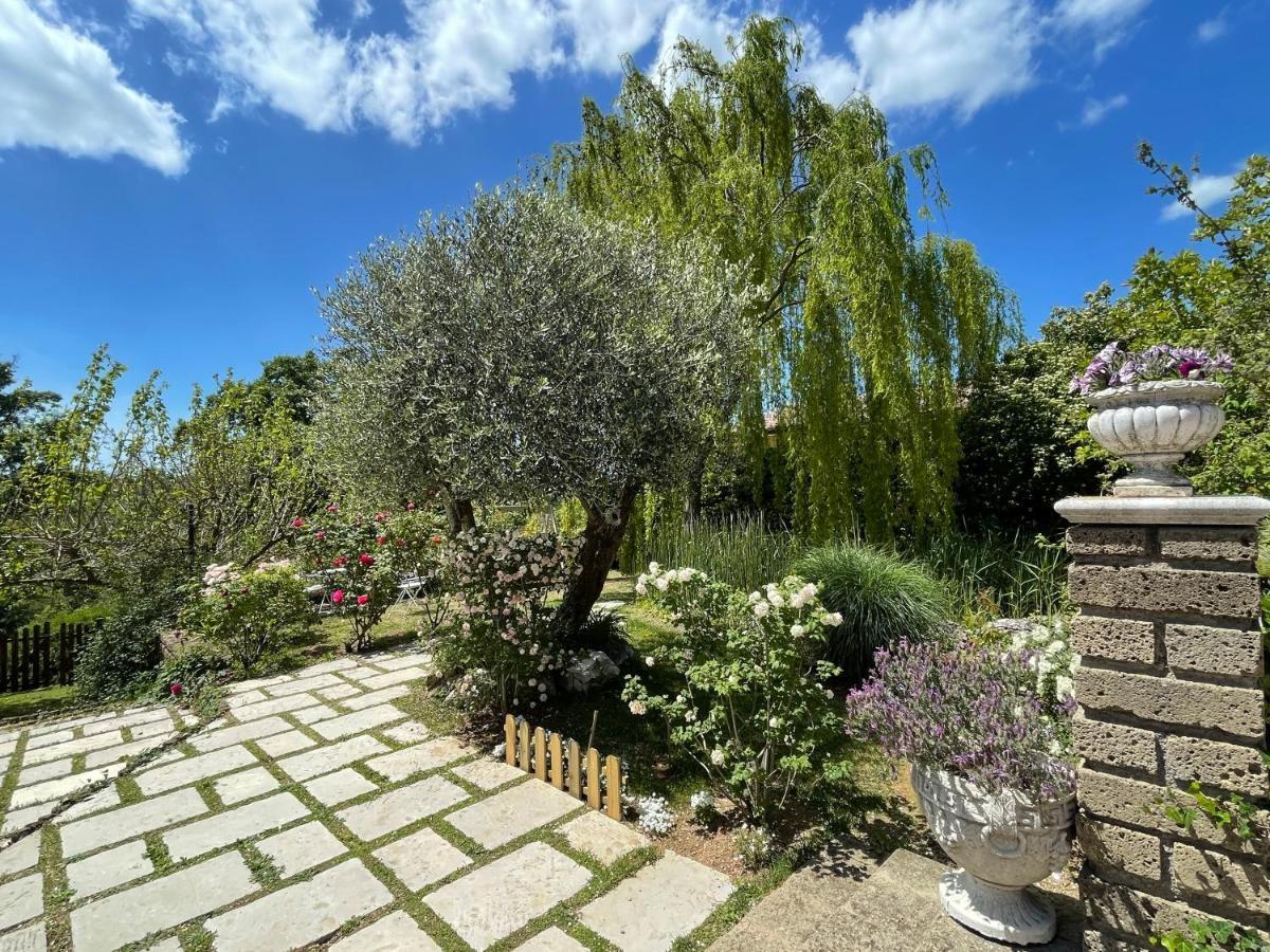 Home Sweet Home Gallicano nel Lazio Exterior photo