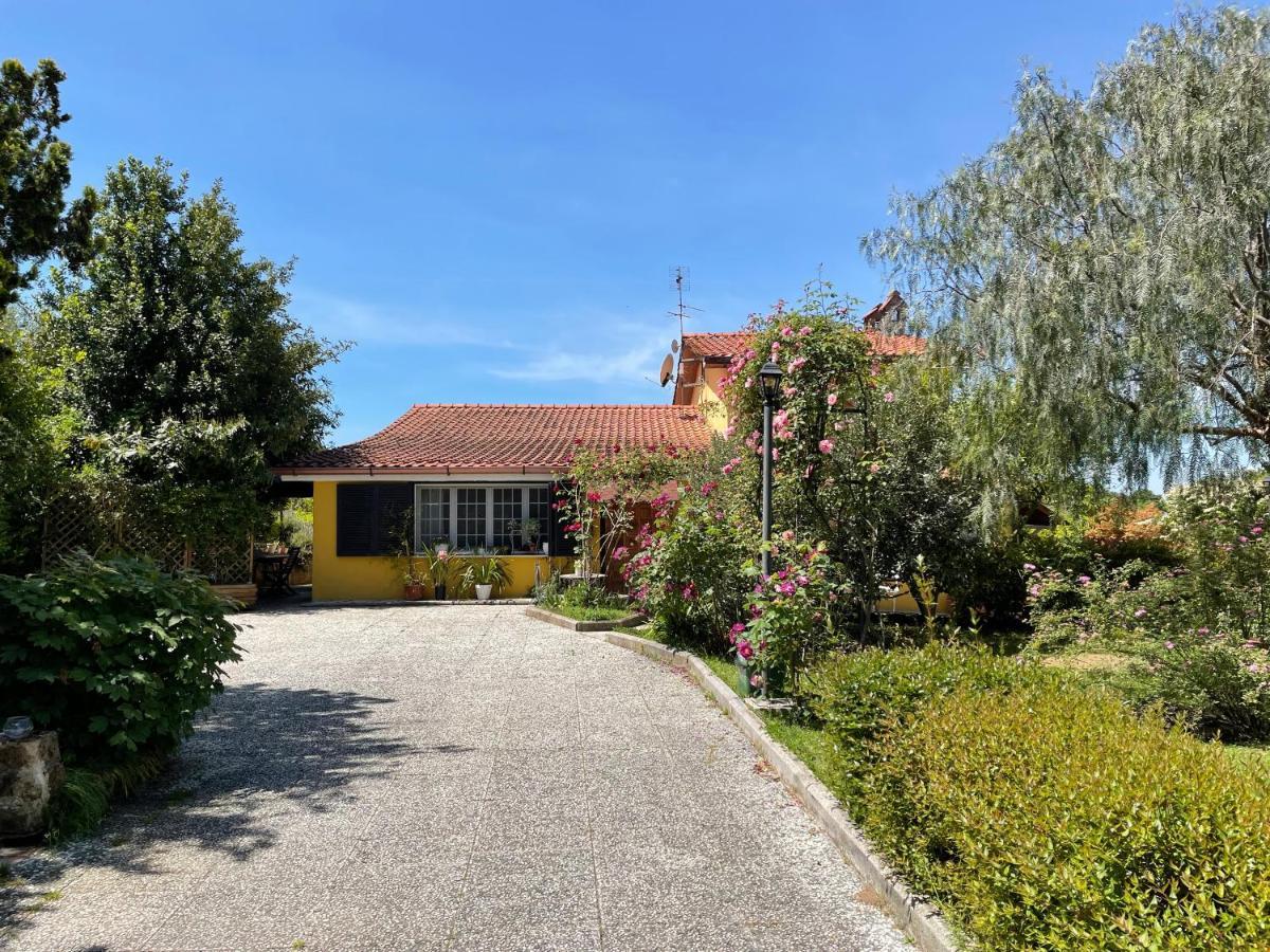 Home Sweet Home Gallicano nel Lazio Exterior photo
